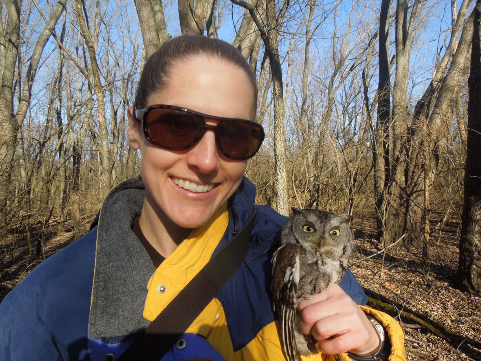 TaraEasternScreech-owl.jpg